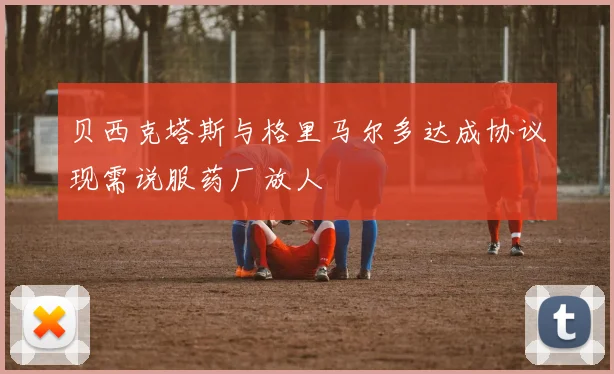 贝西克塔斯与格里马尔多达成协议现需说服药厂放人
