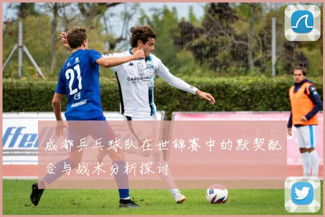 成都乒乓球队在世锦赛中的默契配合与战术分析探讨